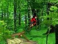 Mountain Bike online oynamaq