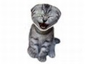 Cat Laughing online oynamaq