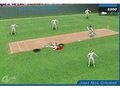 Seksual cricket online oynamaq