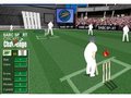 Cricket online oynamaq