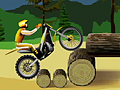 Stunt Dirt Bike online oynamaq