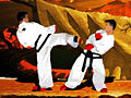 TaeKwon-Do online oynamaq