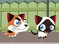 Kitty Run Run online oynamaq