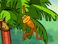 Spider Monkey online oynamaq