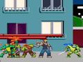 Ninja Turtle King qaytarılması online oynamaq