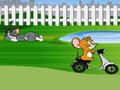 Tom And Jerry Bahçe Ride online oynamaq