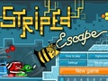 Arı Escape online oynamaq