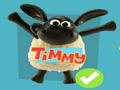 Timmy nin Səsli Adı Game online oynamaq