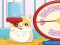 Hamster Sevgi online oynamaq