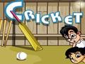 Galli Cricket online oynamaq