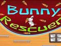 Bunny xilaskar online oynamaq