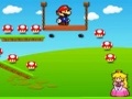 Mario Princess Sevdiyi online oynamaq