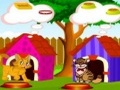 Sizin Sweet Cats qayğı online oynamaq