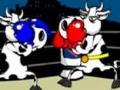 Cow Fighter online oynamaq