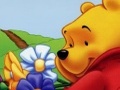 Bu Pooh Winnie Gizli Obyekt online oynamaq