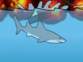 Mayami Shark online oynamaq