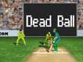 Cricket online oynamaq