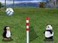 Fun voleybol online oynamaq