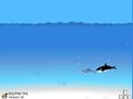 Dolphin Hunt online oynamaq