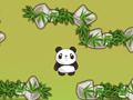 Panda Quest online oynamaq