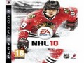 NHL 10 Jigsaw online oynamaq