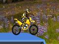 Hillblazer FMX online oynamaq