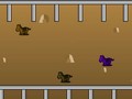 Horse Ranch online oynamaq