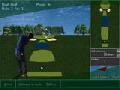 Golf online oynamaq